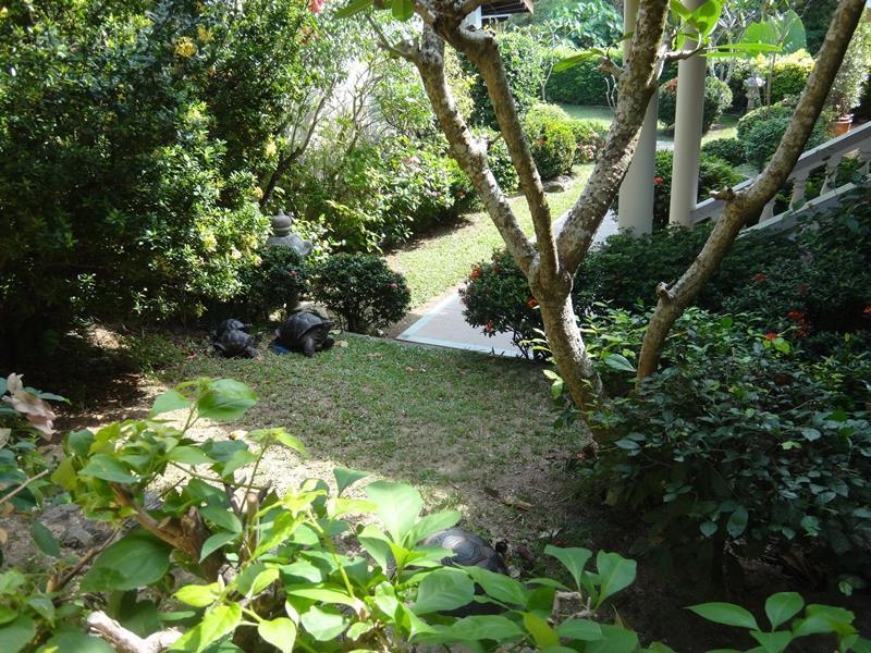 Holiday Village And Natural Garden Resort 布吉 外观 照片